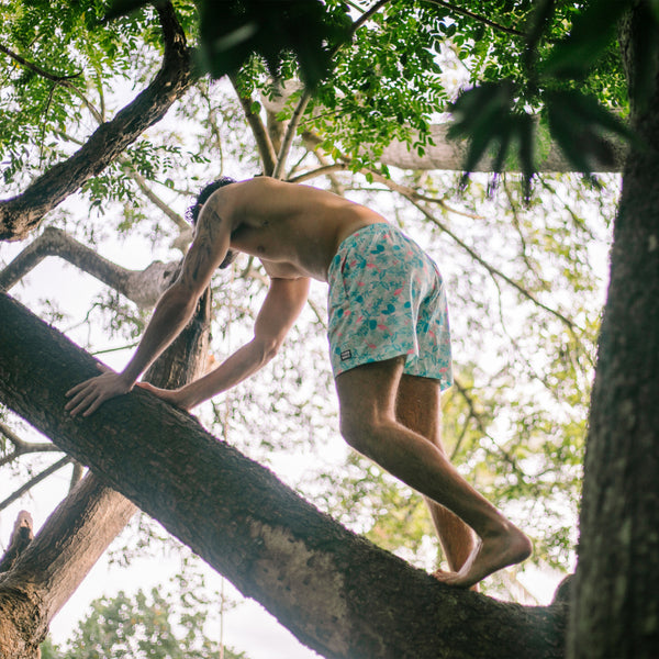 Mesh Lined 5" Swim Trunks - Miami Palms